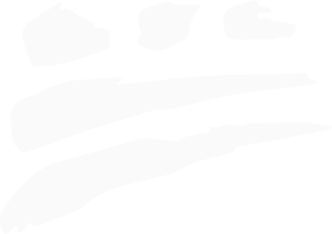 SOR_ES_FU_symbol1-0111